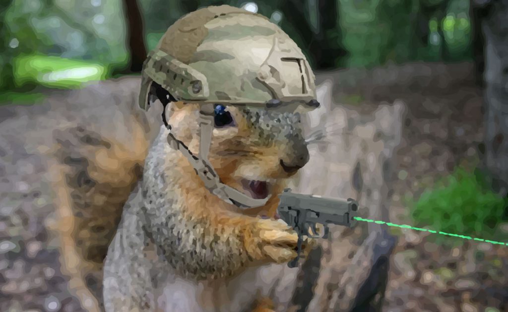 squirrel water gun